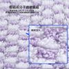 超柔快乾親膚格紋吸水巾瘋狂組-勁