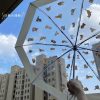 日系清新貓狗透視雨傘/折疊傘-自動款(買一送一)