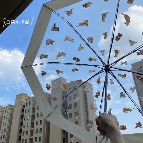 日系清新貓狗透視雨傘/折疊傘-自動款(買一送一)
